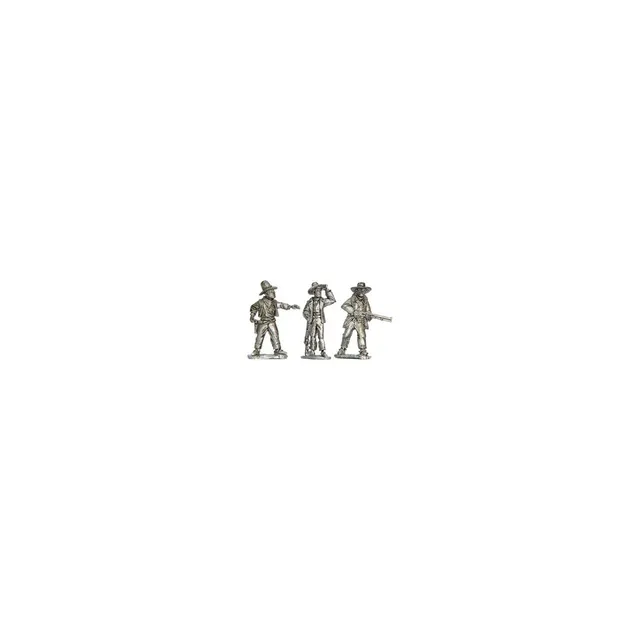 Cowboy Posse 1