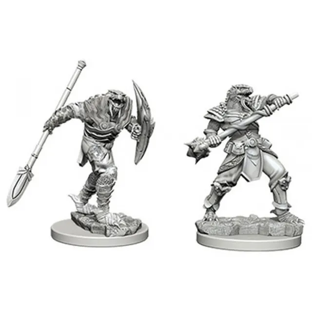 Dragonborn Fighter with Spear