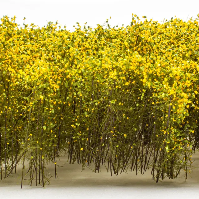 Arbustos Altos – Amarillo Verde